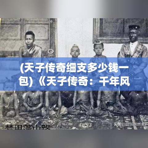 (天子传奇细支多少钱一包) 《天子传奇：千年风云中的帝国守护与权力更迭》——揭秘帝王的荣耀与挣扎